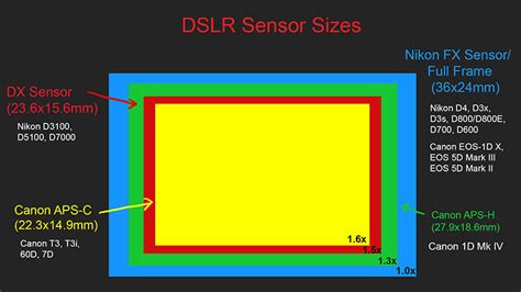 Lesson 21 - Full Frame (FX) vs Crop Sensor (DX) | Easy Exposure