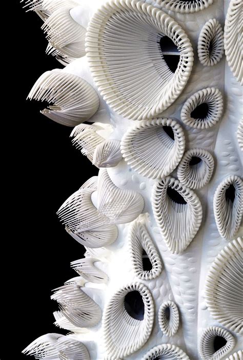 Nature Does It Better: Biomimicry in Architecture and Engineering | Patterns in nature, Organic ...