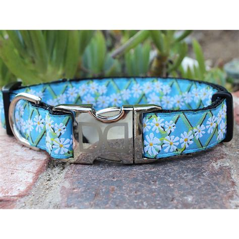 Diva Dog Daisy Dog Collar and Leash Set | BaxterBoo