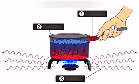 Heat Transfer Methods Diagram | Quizlet