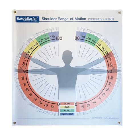 Shoulder Therapy Exercise Charts