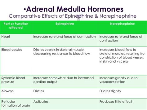 Image result for epinephrine vs norepinephrine function | Norepinephrine, Epinephrine, Adrenal ...