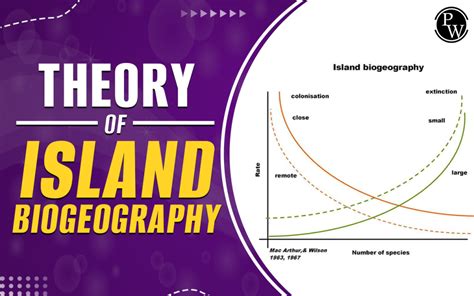 Theory Of Island Biogeography, Definition And Explanation