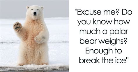 120 Icebreakers That Never Fail The Task | Bored Panda