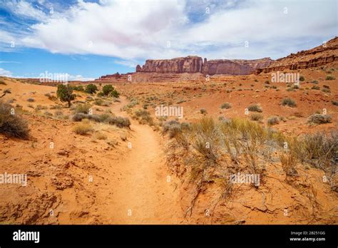 hiking the wildcat trail in the monument valley in the usa Stock Photo - Alamy