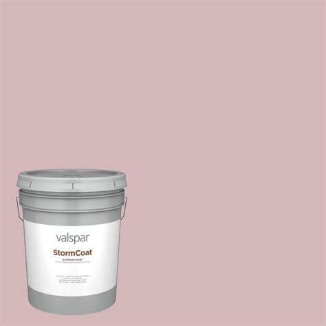 Valspar Pro Storm Coat Pastel Semi-Gloss Bombay Pink Exterior Paint (5 ...