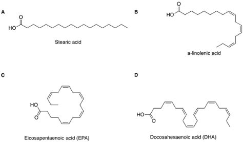 5: The structure of representative saturated and unsaturated fatty ...