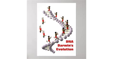 DNA Darwin's Evolution Poster | Zazzle