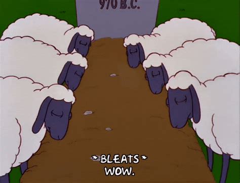 Episode 18 Sheep GIF - Find & Share on GIPHY