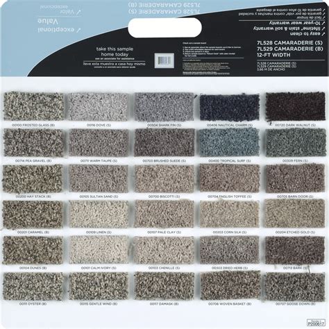 Shaw Multicolor Carpet Sample at Lowes.com