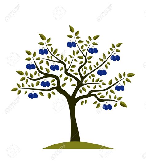 Plum tree clipart - Clipground