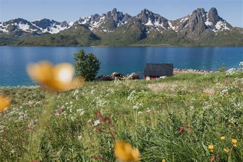 7 Reasons To Visit The Vesterålen Islands of Norway - Heart My Backpack