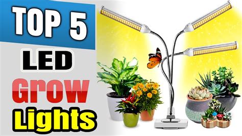 Best Full Spectrum Led Grow Lights For Orchids Indoor Plants - YouTube