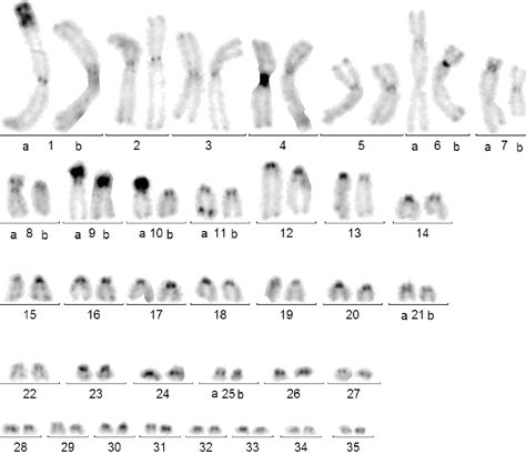 Polyploidy Examples