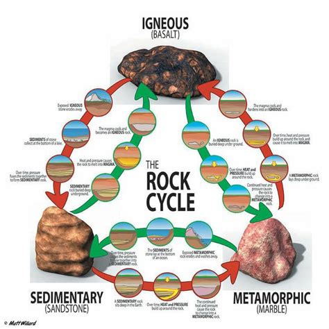 Types of Rocks and the Rock Cycle | Earth science, Rock cycle, Science ...