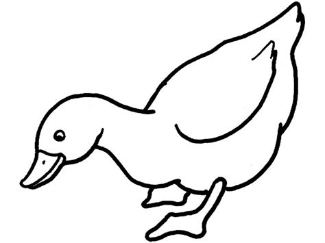 Duck Outline | Free download on ClipArtMag