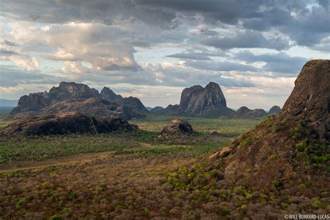 Niassa Wilderness | Will Burrard-Lucas