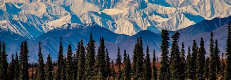 THE TOP 15 Things To Do in Alaska (UPDATED 2024) | Attractions & Activities