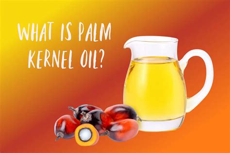 What Is Palm Kernel Oil? - The Coconut Mama