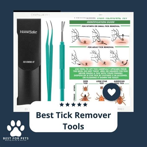 11 Best Tick Remover Tools - BestForPets.org