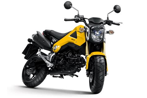 Surprise new mini-bike from Honda | Visordown