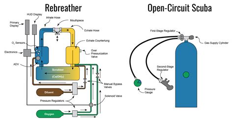 Complacency Can Kill: How Diving Equipment Malfunctions Almost Led to ...