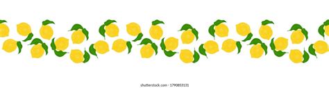 20,643 imágenes de Lemons border - Imágenes, fotos y vectores de stock | Shutterstock