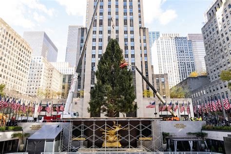 10 Fun Facts About The Rockefeller Center Christmas Tree