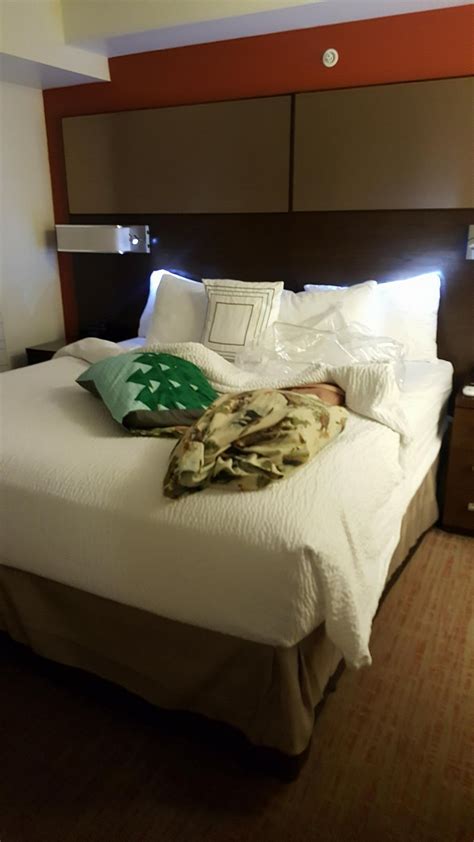 RESIDENCE INN BLOOMINGTON $199 ($̶2̶5̶9̶) - Prices & Hotel Reviews - IL