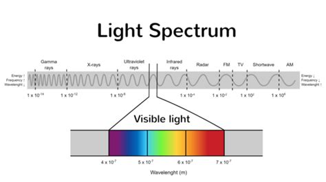 Light Spectrum - Infographic templates