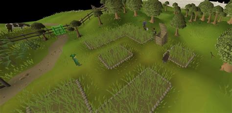 OSRS Farming Guide For Beginners