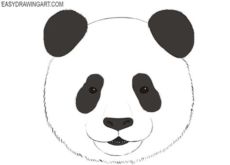 how to draw a panda face | Panda drawing, Sketch head, Drawings