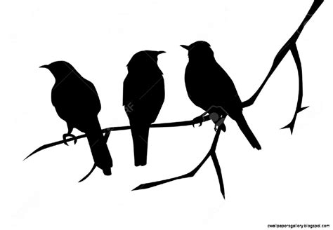 Bird On Tree Silhouette at GetDrawings | Free download