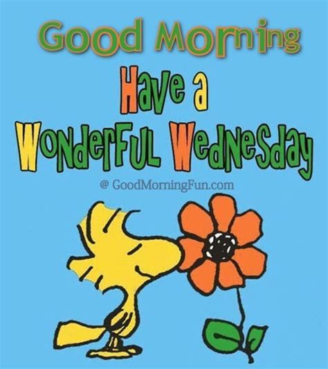 Good Morning Wednesday Inspirational Quotes & Wishes with Images - Good Morning Fun