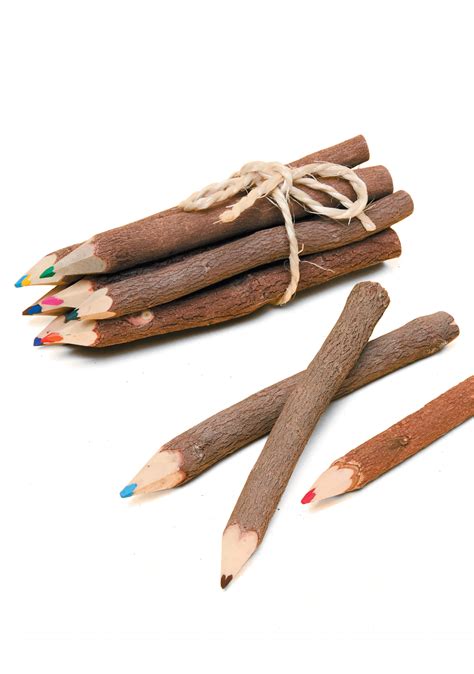 Pack of coloured twig pencils - Wildwood | Bude | Cornwall