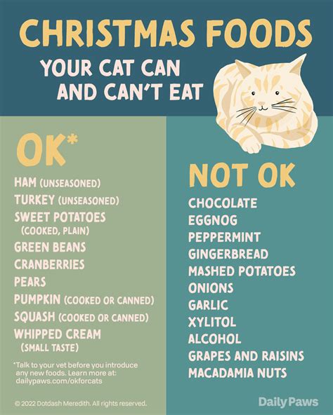 Christmas Foods Cats Can and Can't Eat, According to a Vet