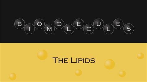 Biomolecules - The Lipids (Video) - Wisc-Online OER