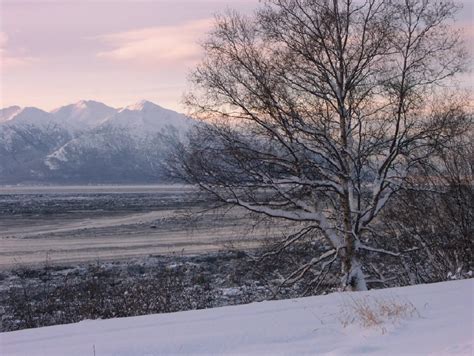 Margy's Musings: Anchorage - Other Alaska Winter Scenes for Getting Around