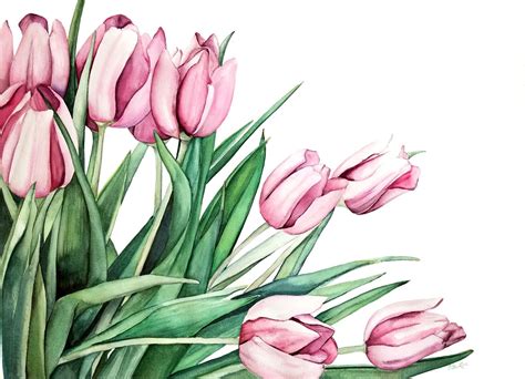 "Pink Tulips" Original Watercolor | Esther BeLer Wodrich | Watercolor tulips, Tulip painting ...