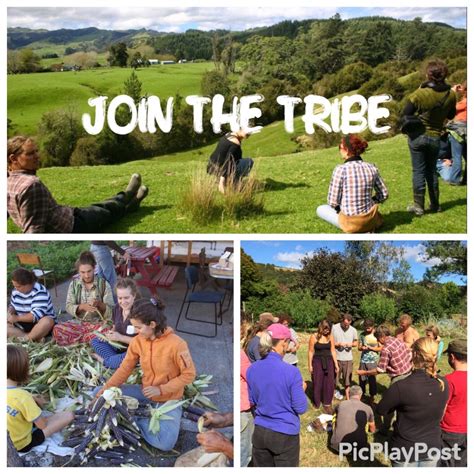 Kotare Village | Eco Village | Community Land Trust New Zealand