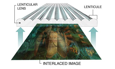 Did That Graphic Just Change? - Smithsonian Exhibits