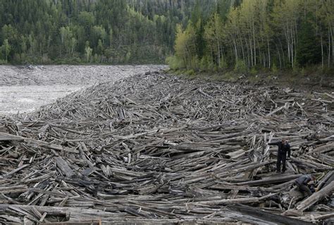 A Year on the Yenisei River - The Atlantic