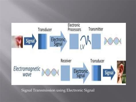 PPT - Signal and types PowerPoint Presentation, free download - ID:2474848