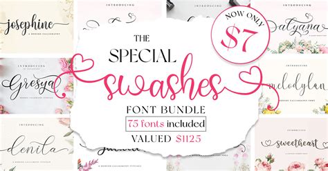 The Special Swashes Font Bundle Bundle · Creative Fabrica