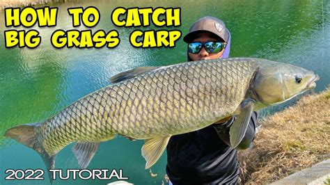 How To Catch Grass Carp! BEST Carp Fishing Tutorial 2022 - YouTube