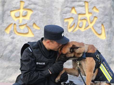 Over 1,000 police dogs serve in criminal investigation in Beijing(2/10)