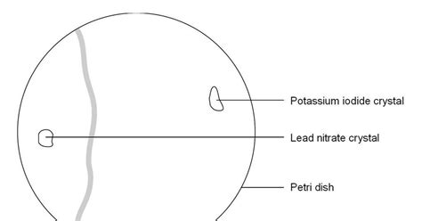 Diffusion in liquids | Experiment | RSC Education