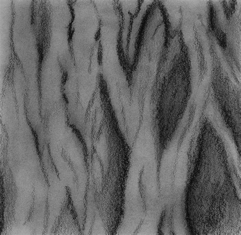 Bark Texture Drawing by Mark Denton