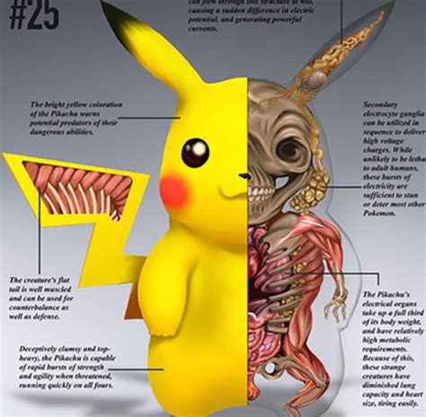 These Anatomically Correct Pokémon Are Pure Nightmare Fuel, PokéNatomy is Terrifying