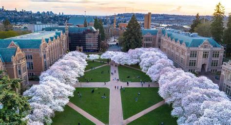 The Soccer Academy at University of Washington